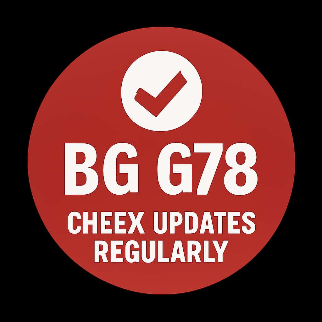 An icon symbolizing BG 678 update checks.